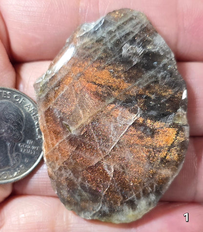 #1 Cocoa Sunstone Slice