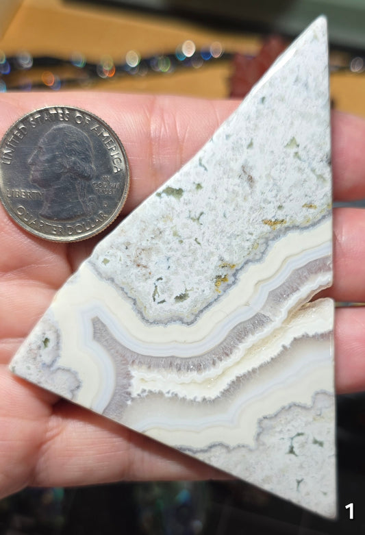 #1 Crazy Lace Agate Slice