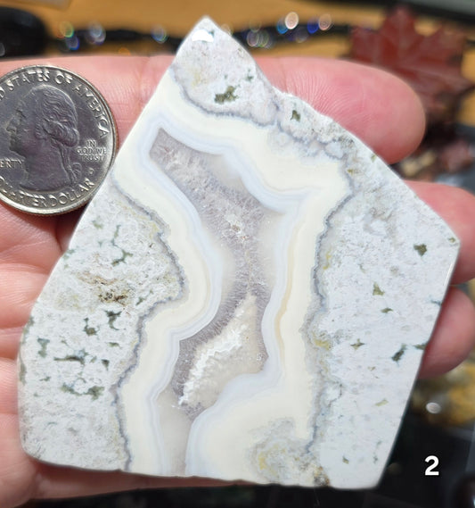 #2 Crazy Lace Agate Slice