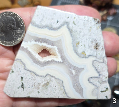 #3 Crazy Lace Agate Druzy Slice