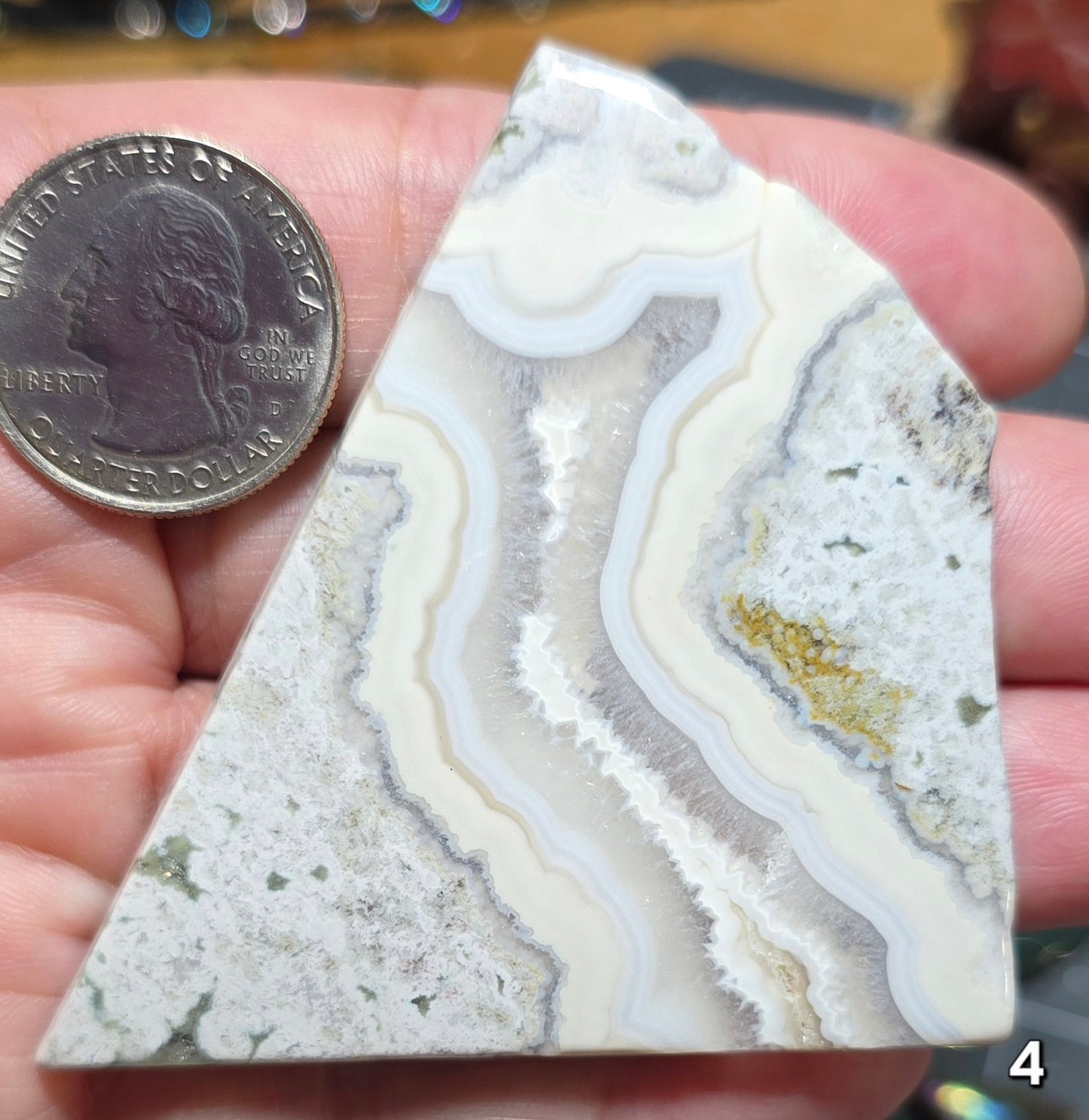 #4 Crazy Lace Agate Slice
