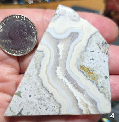 #4 Crazy Lace Agate Slice