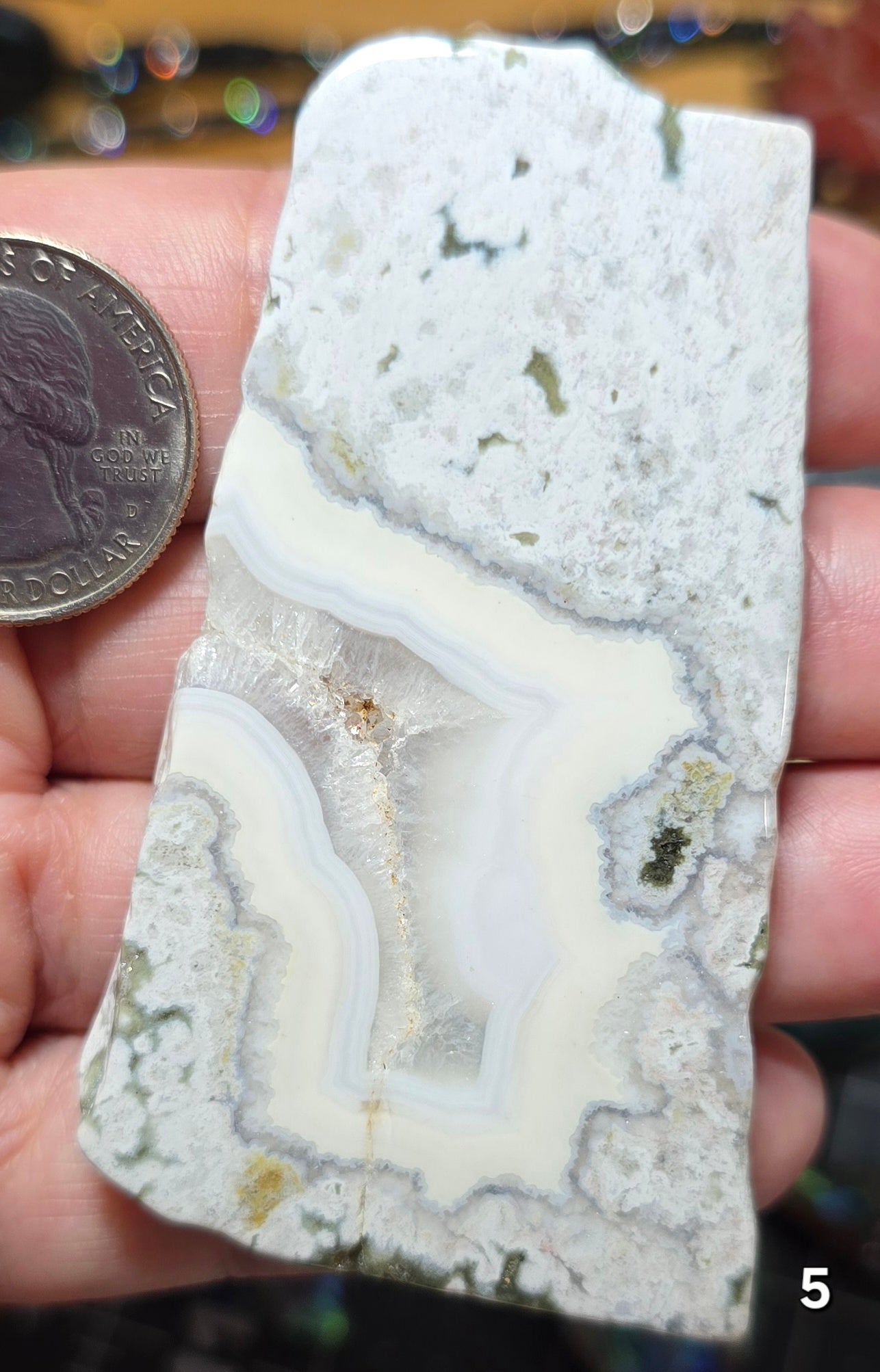 #5 Crazy Lace Agate Druzy