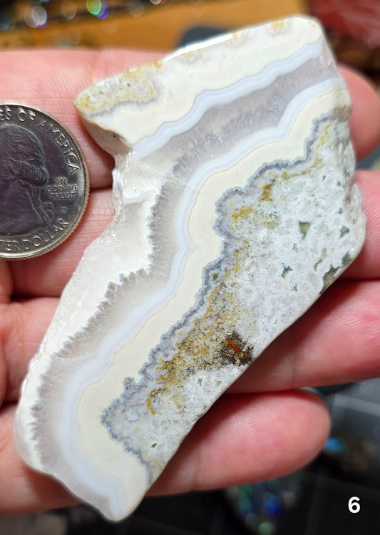 #6 Crazy Lace Agate Druzy Slice