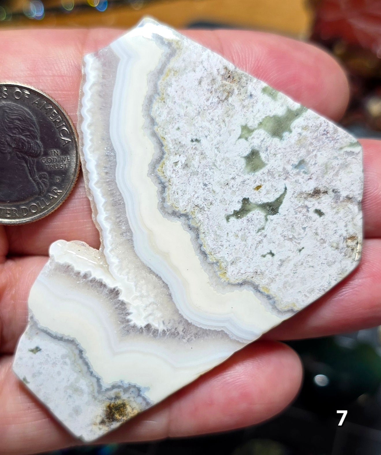 #7 Crazy Lace Agate Druzy Slice
