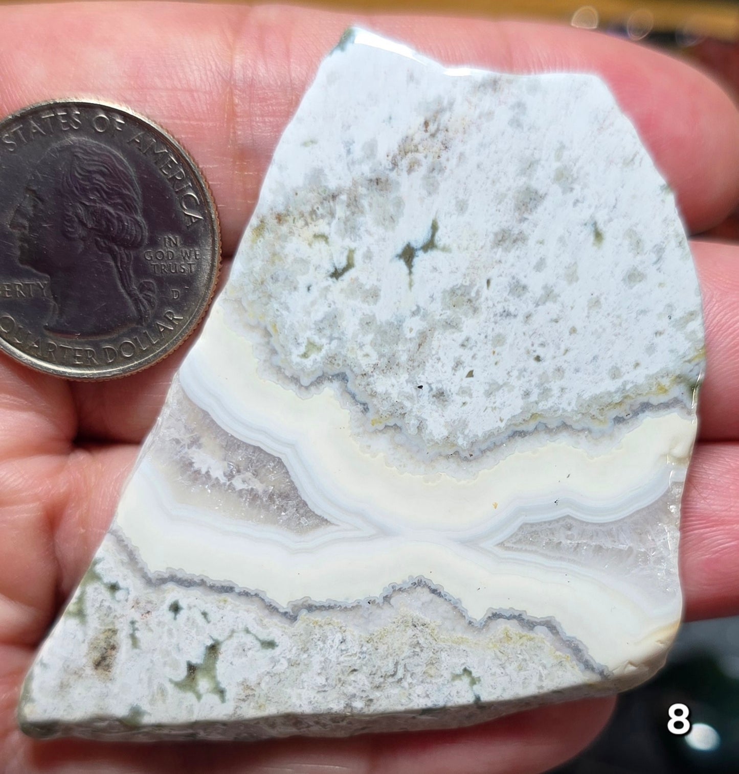 #8 Crazy Lace Agate Slice