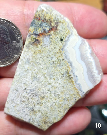 #10 Crazy Lace Agate Slice