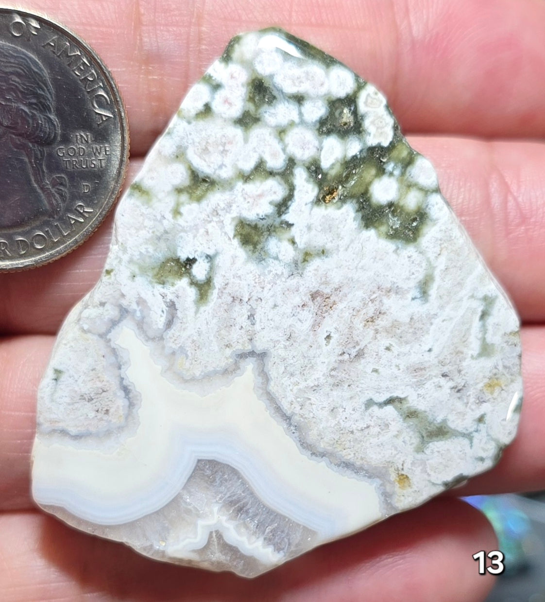 #13 Crazy Lace Agate Slice
