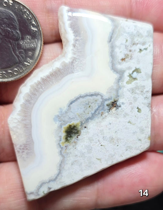 #14 Crazy Lace Agate Slice