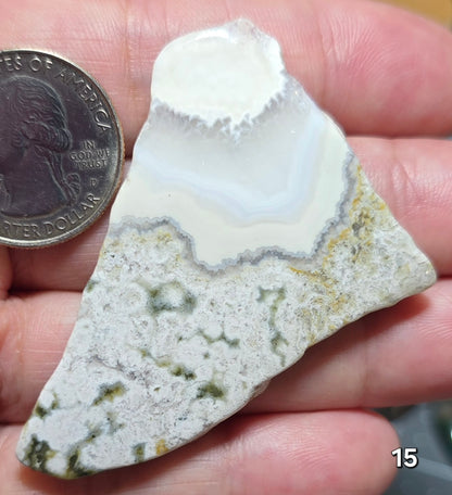 #15 Crazy Lace Agate Slice