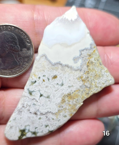 #16 Crazy Lace Agate Slice