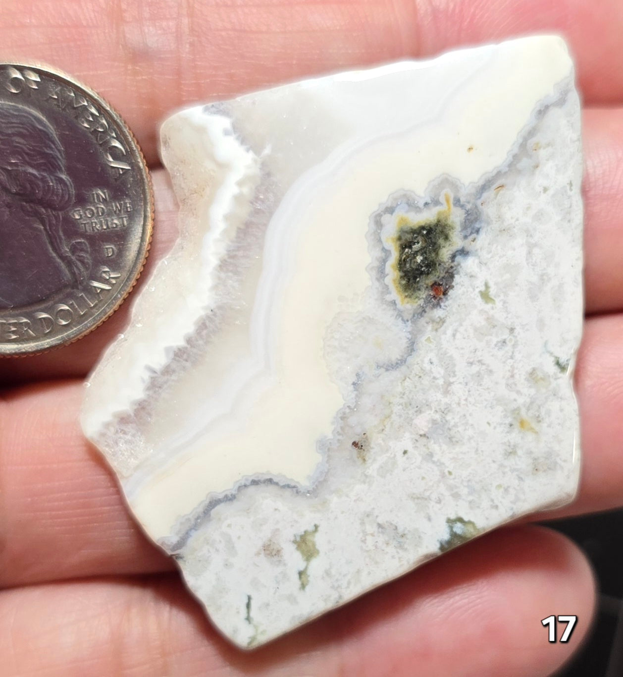 #17 Crazy Lace Agate Druzy Slice