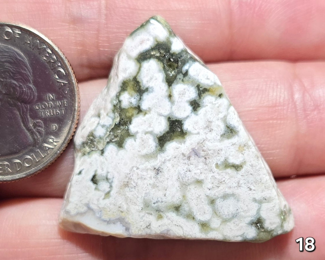 #18 Orbital Agate Druzy Slice