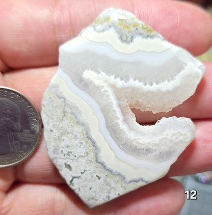 #12 Crazy Lace Agate Druzy Slice