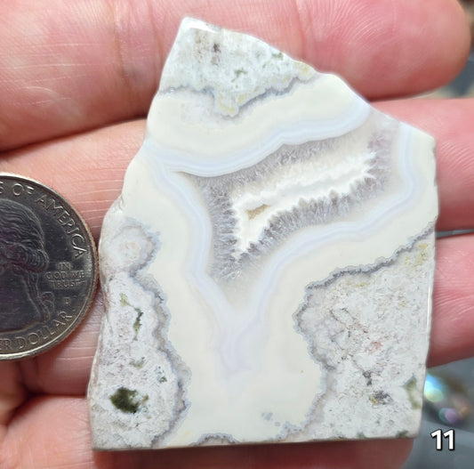 #11 Crazy Lace Agate Slice