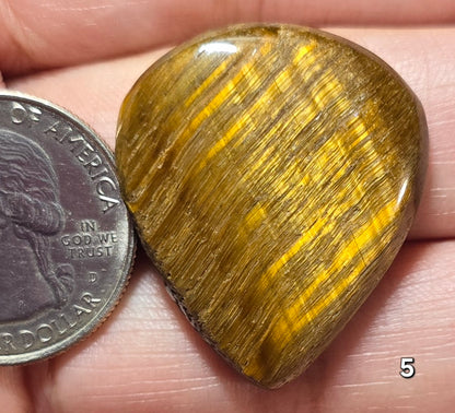 #5 Classic Golden Tiger Eye