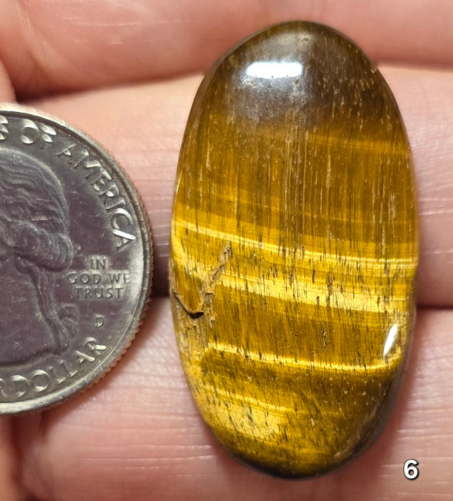 #6 Classic Golden Tiger Eye