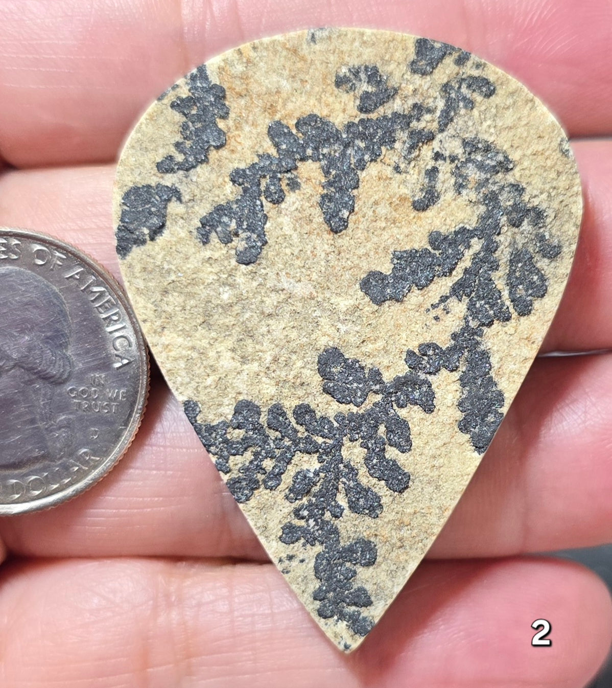 #2 Psilomelane Dendrite