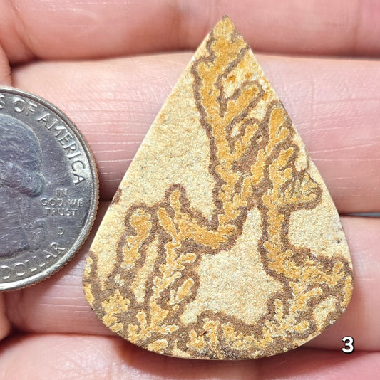 #3 Psilomelane Dendrite