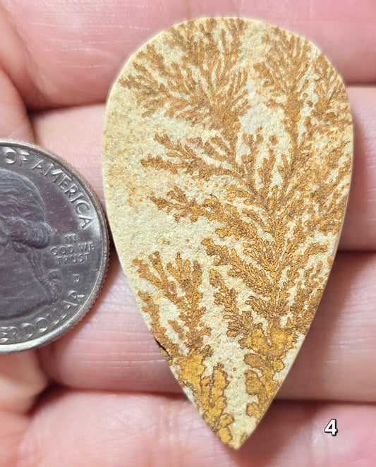 #4 Psilomelane Dendrite