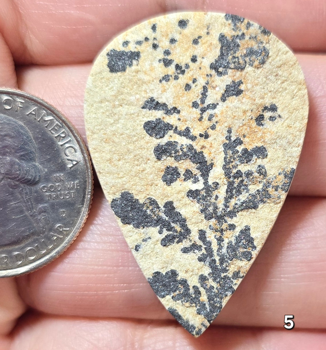 #5 Psilomelane Dendrite