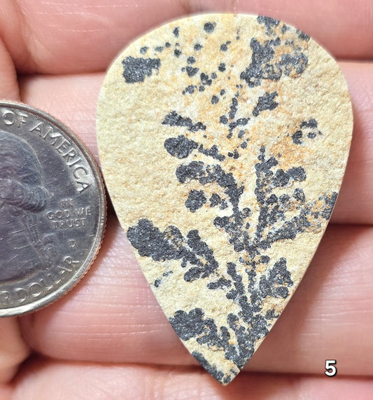 #5 Psilomelane Dendrite