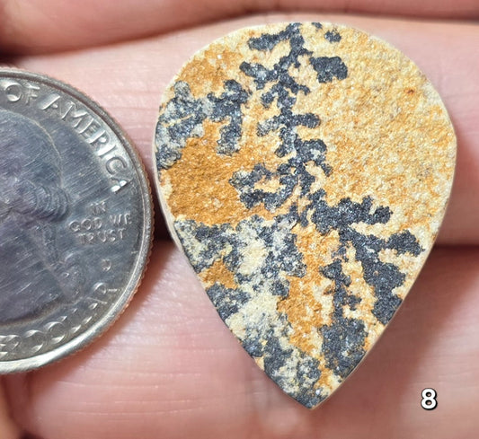 #8 Psilomelane Dendrite