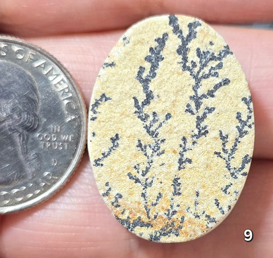 #9 Psilomelane Dendrite