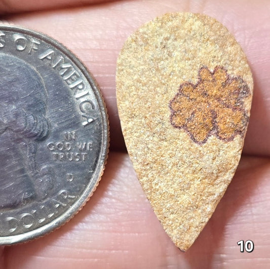 #10 Psilomelane Dendrite