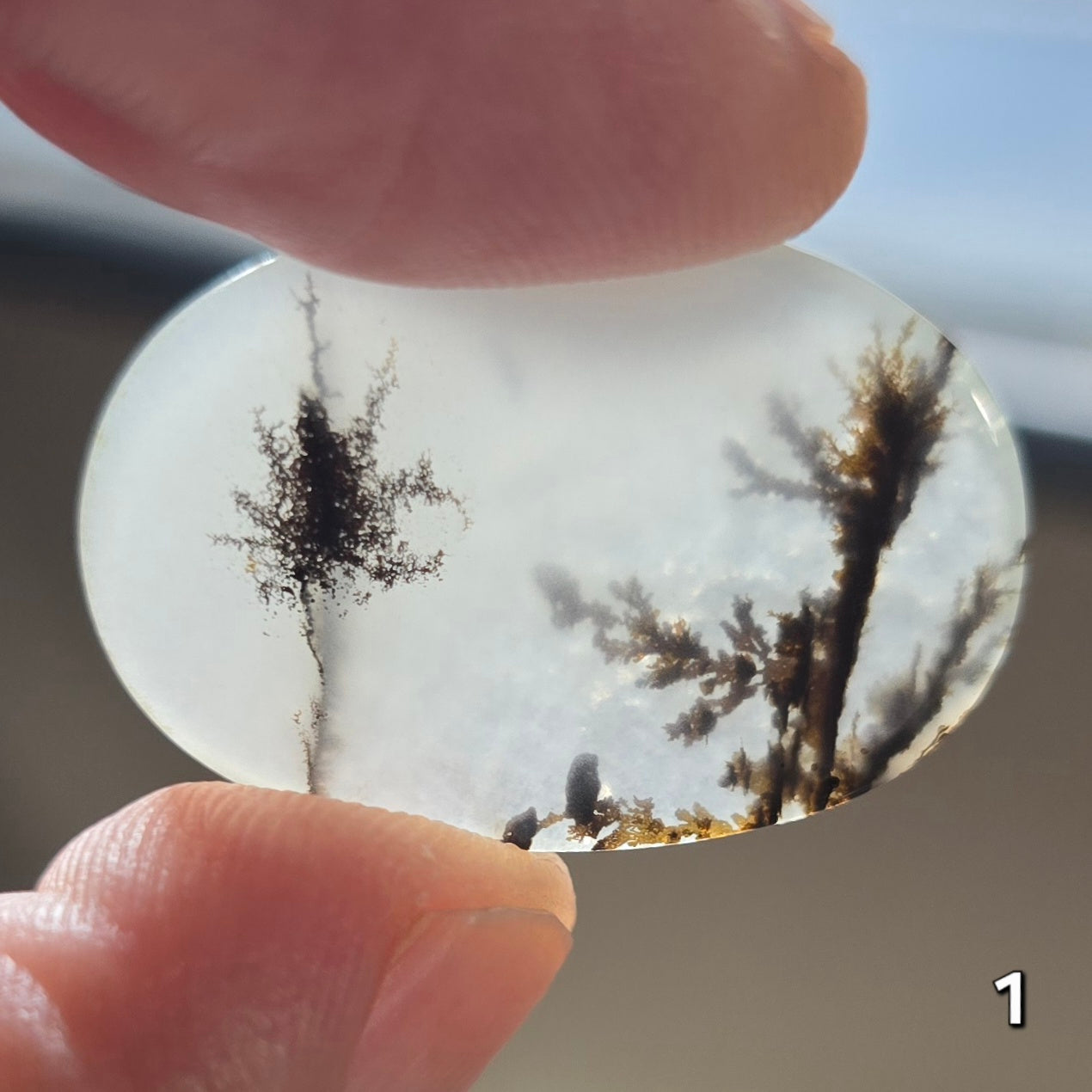 #1 Dendritic Quartz