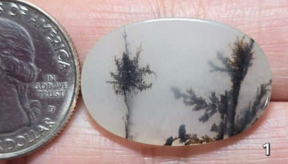 #1 Dendritic Quartz