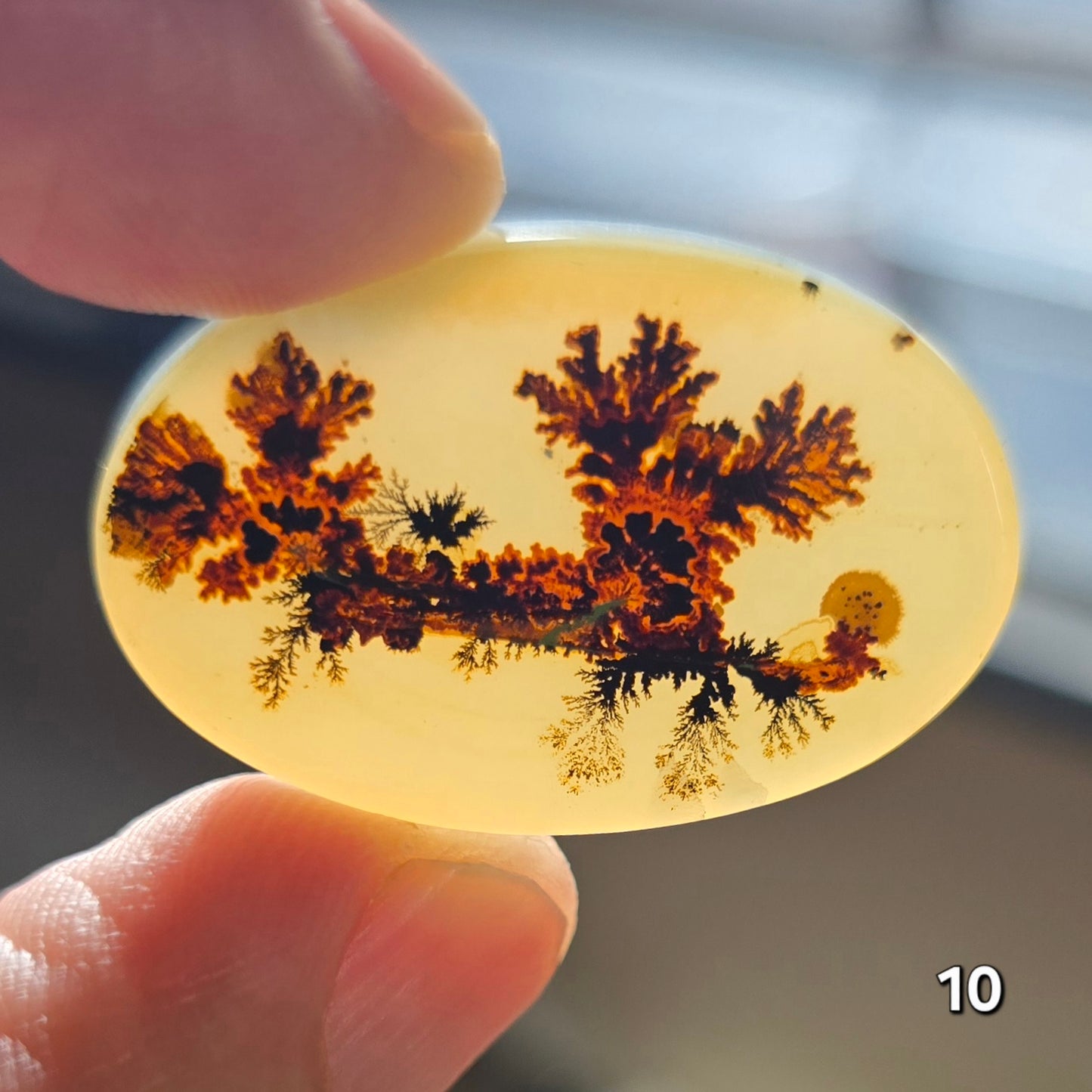 #10 Dendritic Quartz