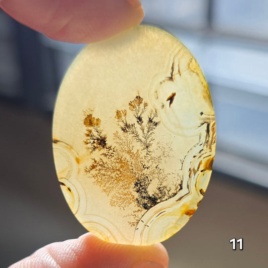 #11 Dendritic Quartz