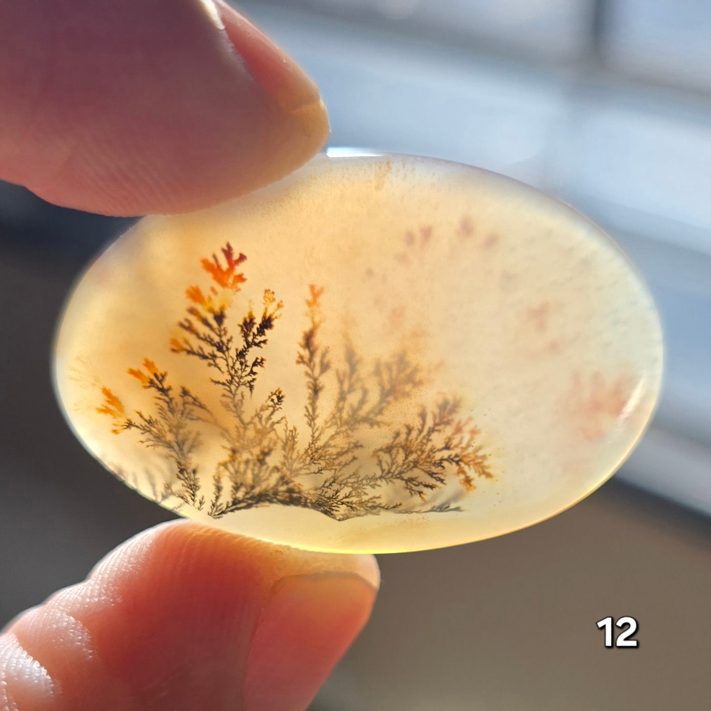 #12 Dendritic Quartz