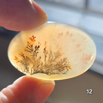 #12 Dendritic Quartz