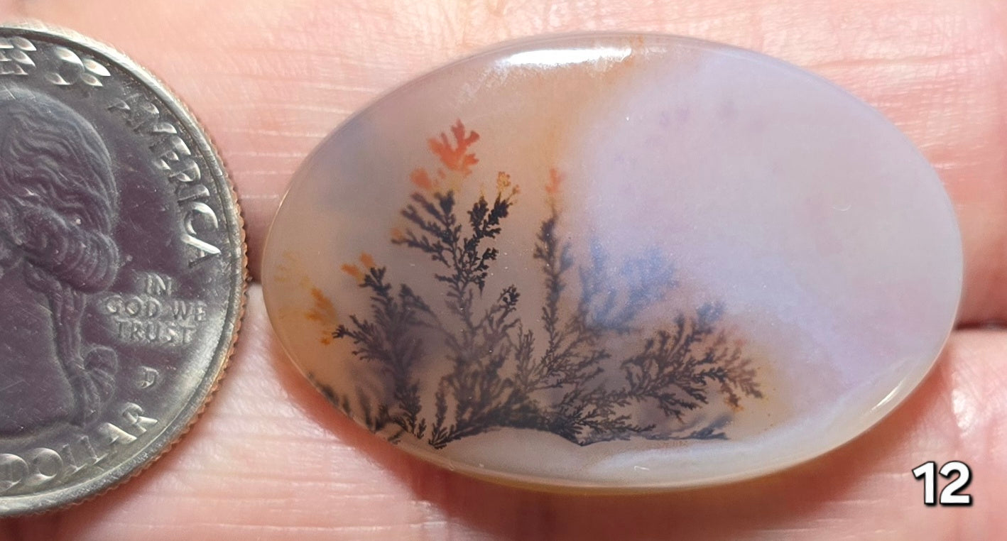 #12 Dendritic Quartz