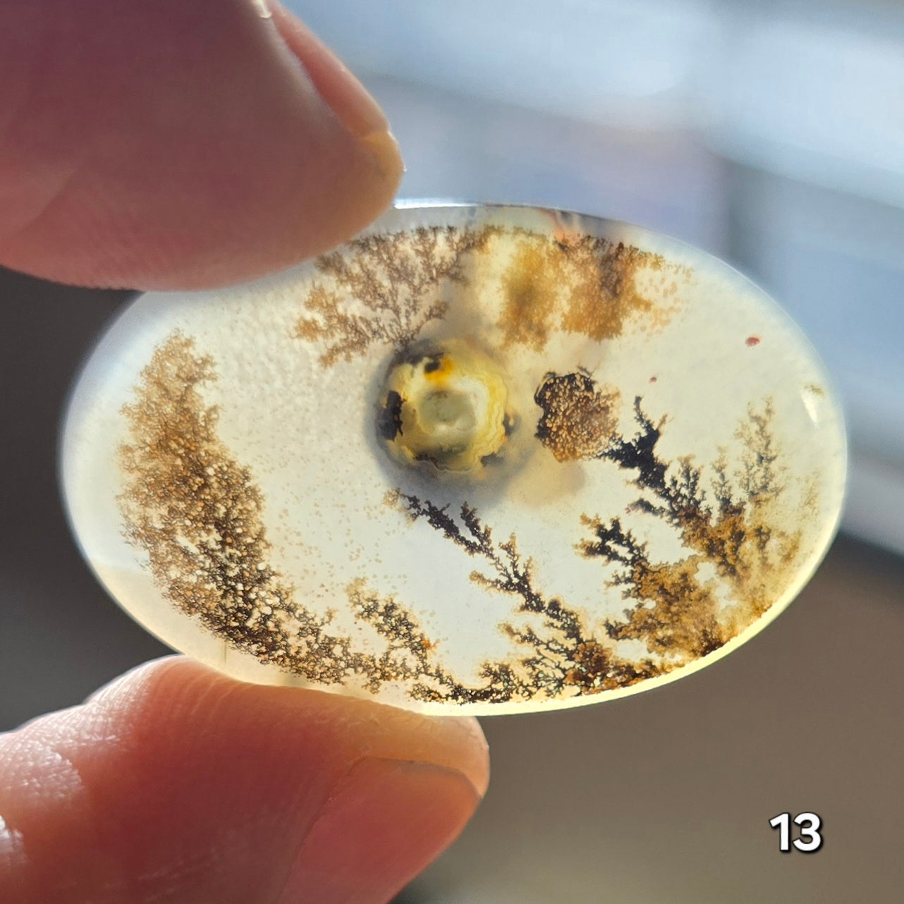 #13 Dendritic Quartz