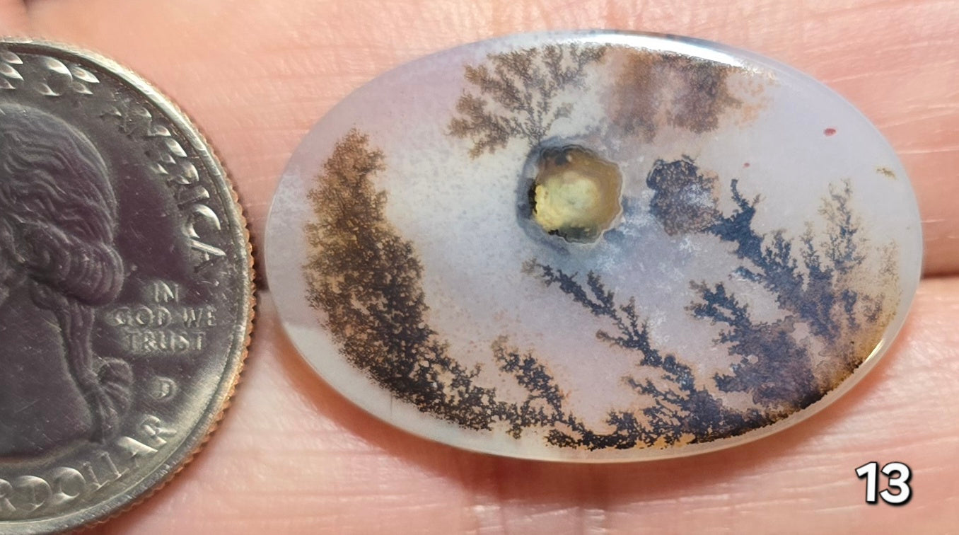 #13 Dendritic Quartz