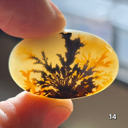 #14 Dendritic Quartz