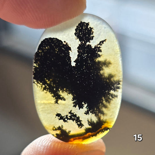 #15 Dendritic Quartz