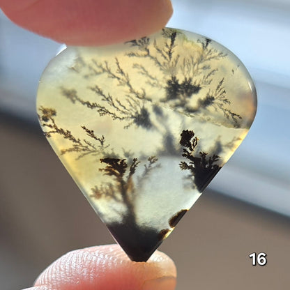 #16 Dendritic Quartz