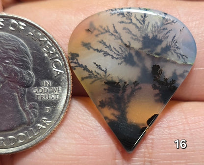 #16 Dendritic Quartz