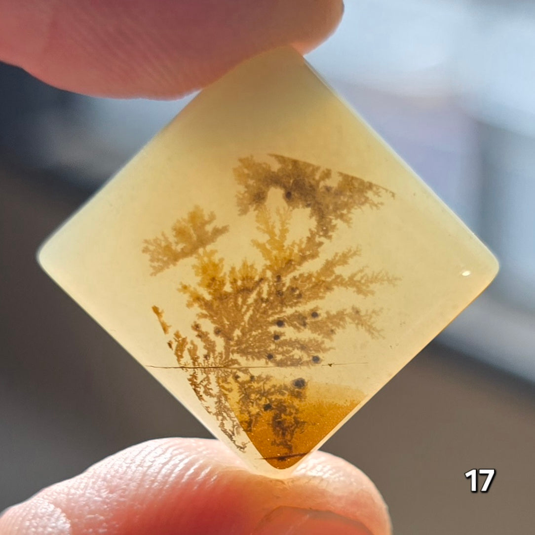 #17 Dendritic Quartz