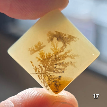 #17 Dendritic Quartz