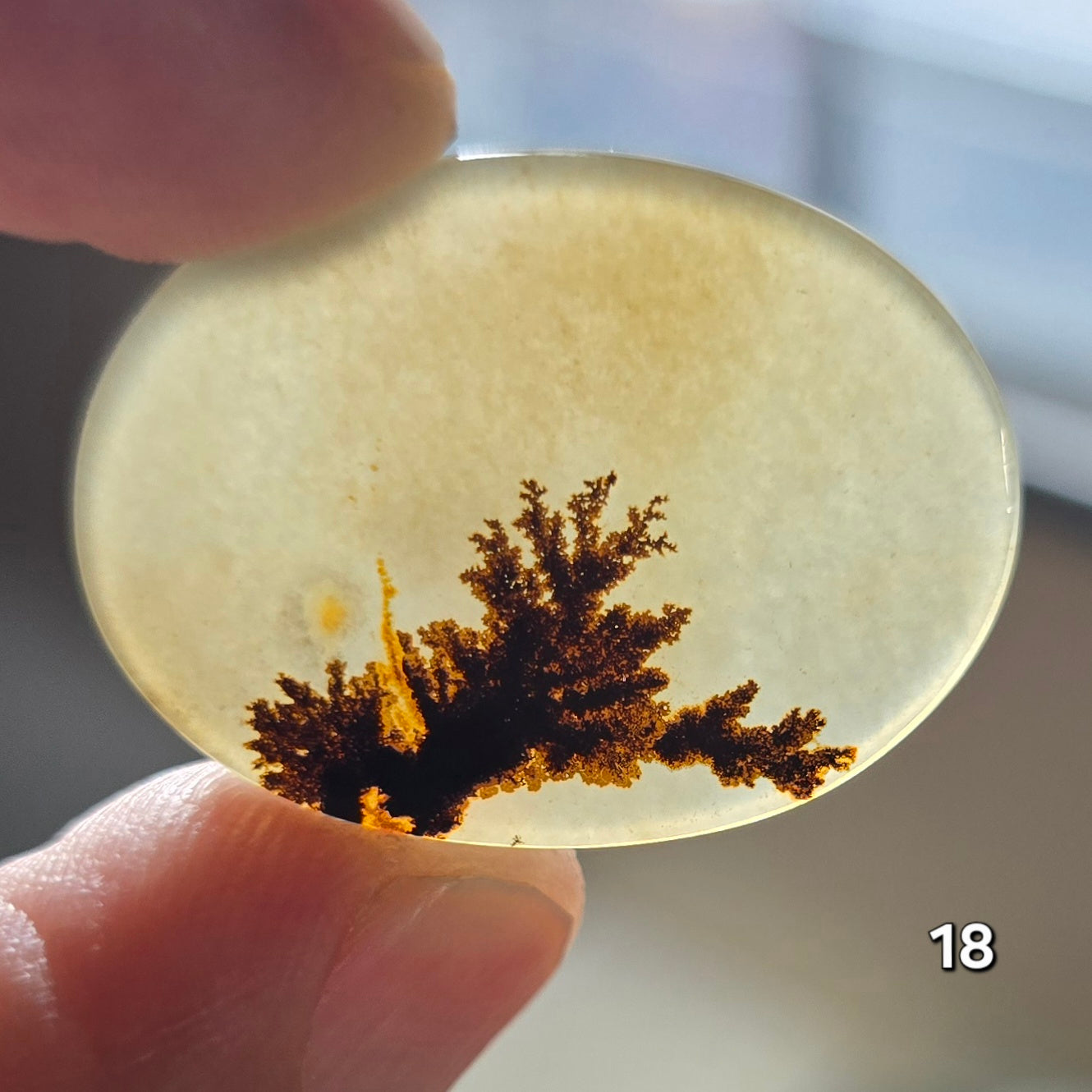 #18 Dendritic Quartz