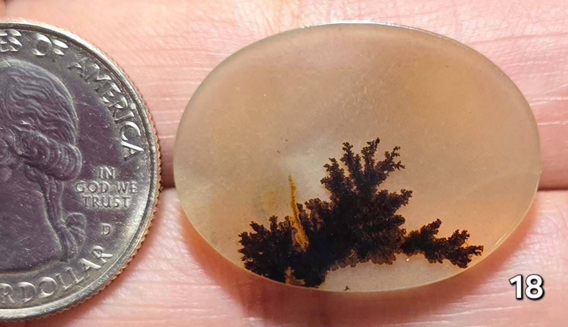 #18 Dendritic Quartz