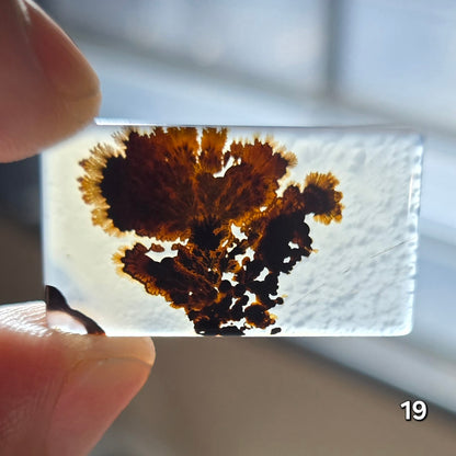 #19 Dendritic Quartz