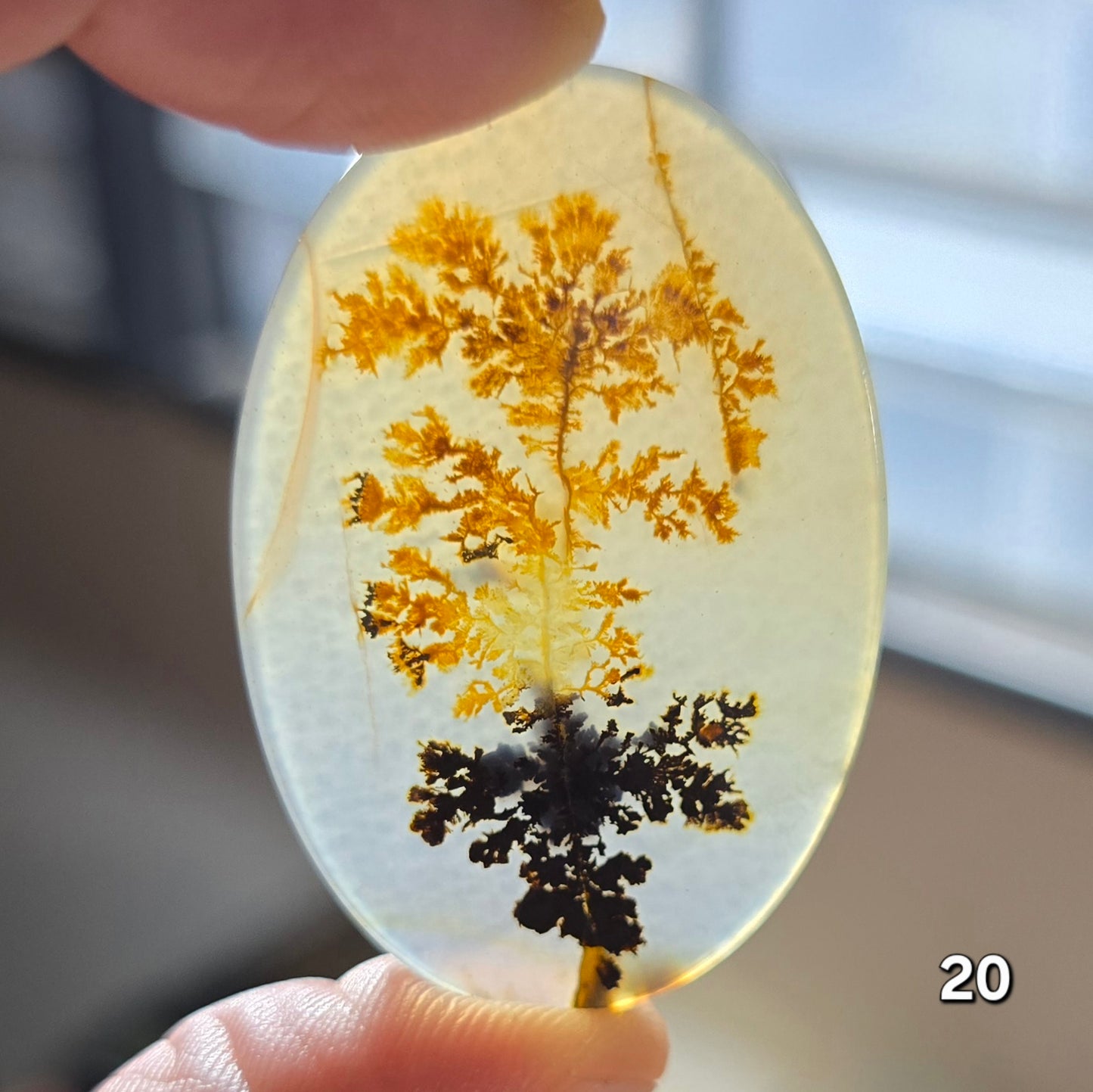 #20 Dendritic Quartz