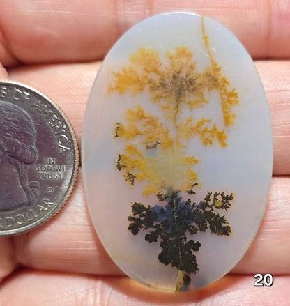 #20 Dendritic Quartz