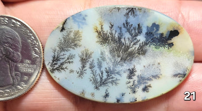 #21 Dendritic Quartz